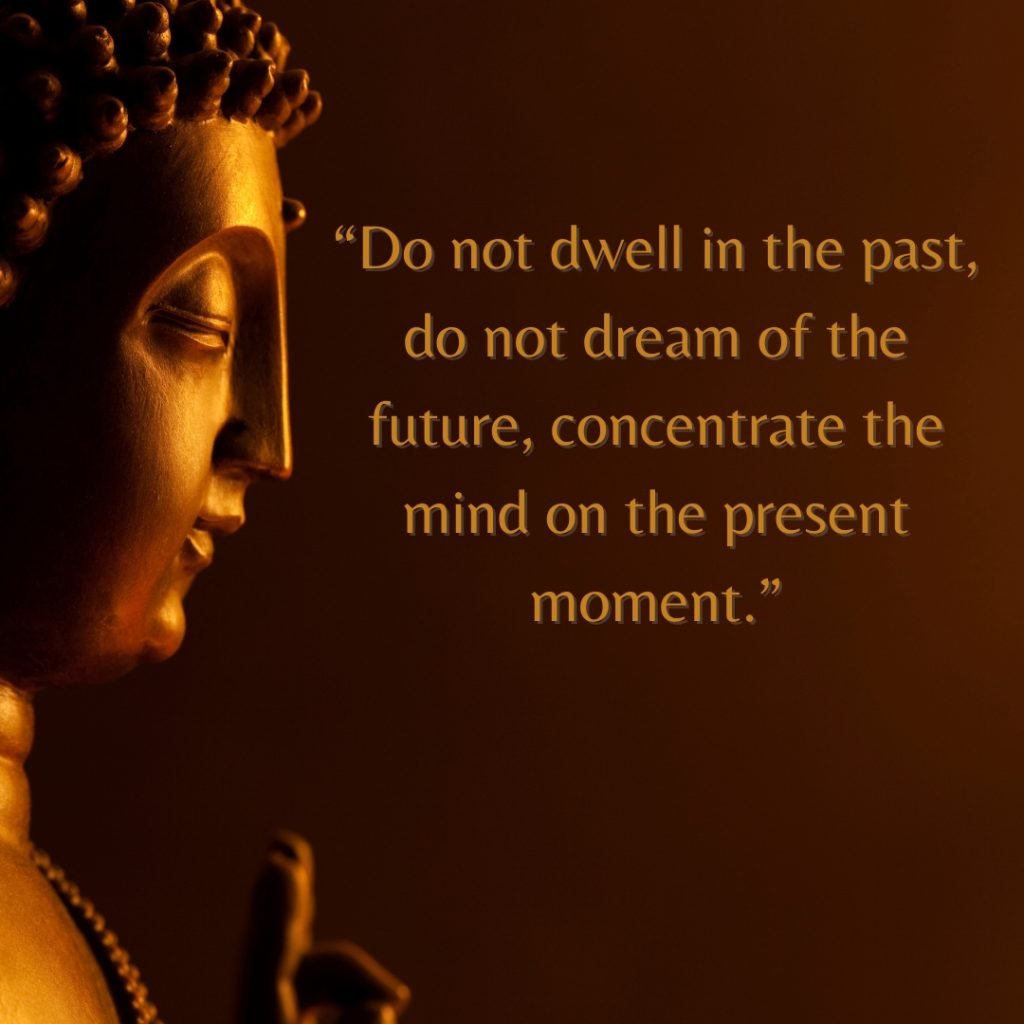 Buddha Life Quote
