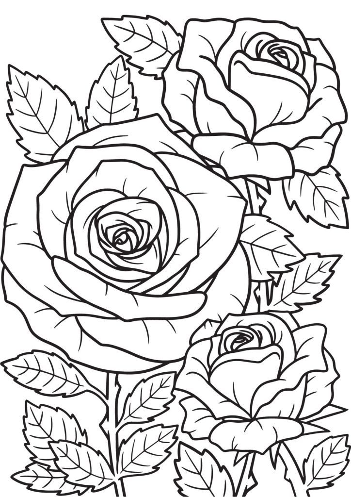 ROSE COLORING PAGE