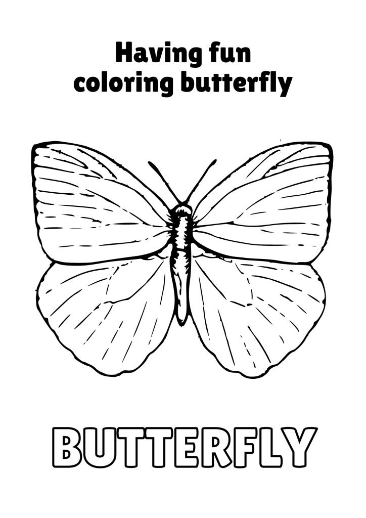 Black and White Playful Coloring Butterfly Worksheet 7
