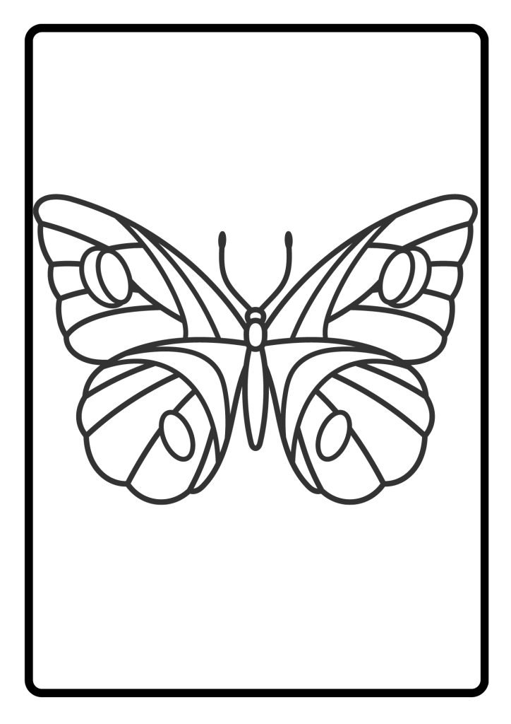 COLORING BUTTERFLY ILLUSTRATION