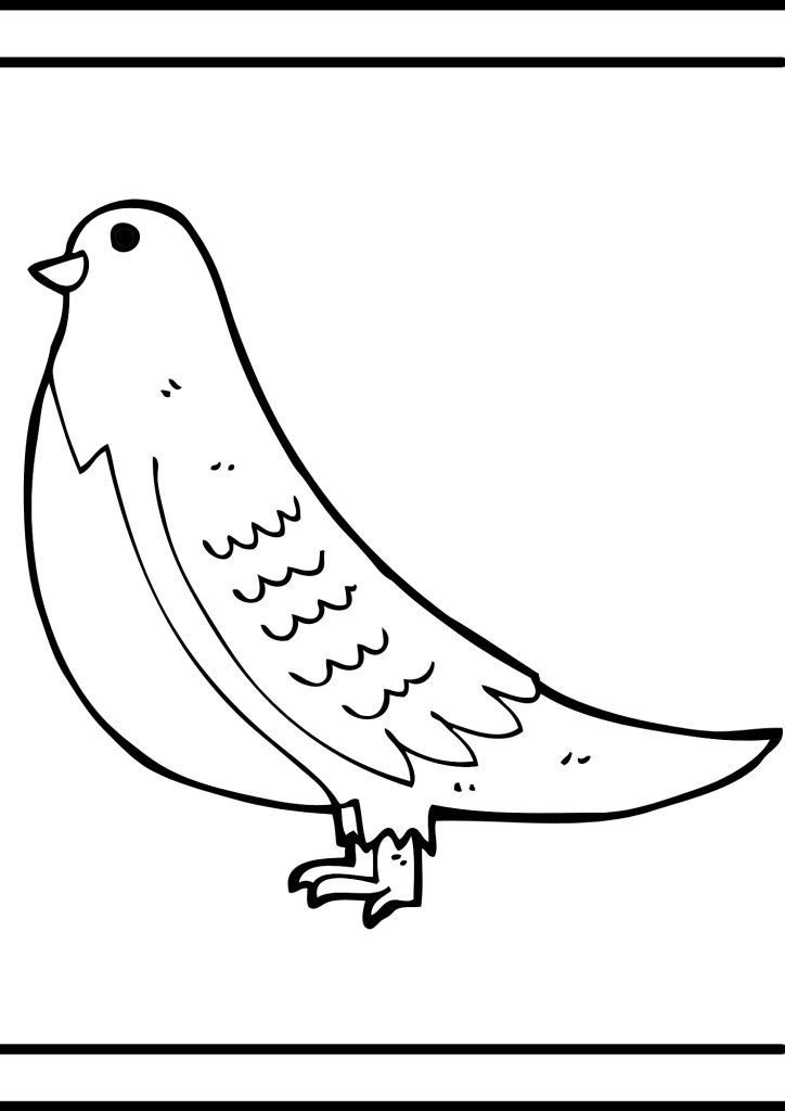 COMMON BIRD