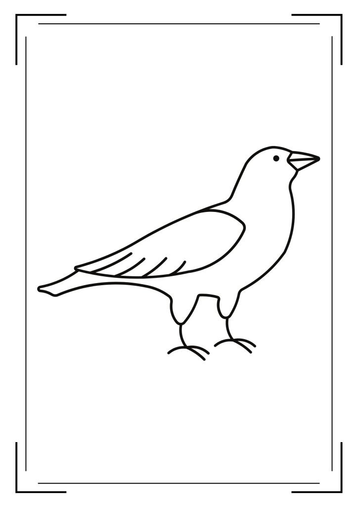 CROW OUTLINE