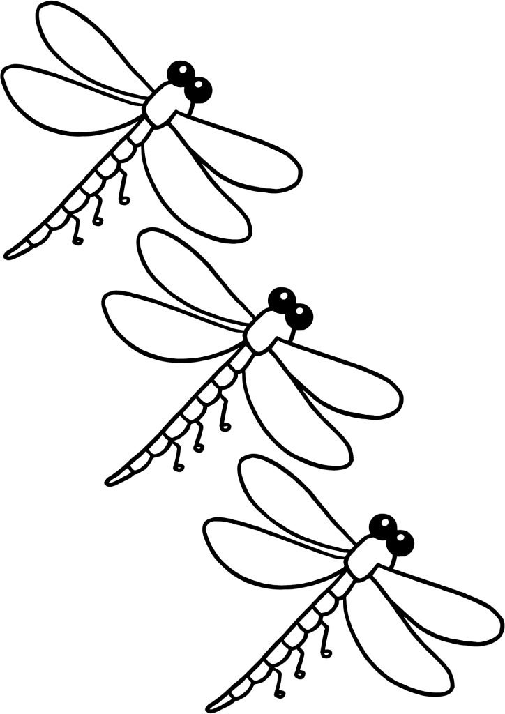 Cute dragon fly coloring
