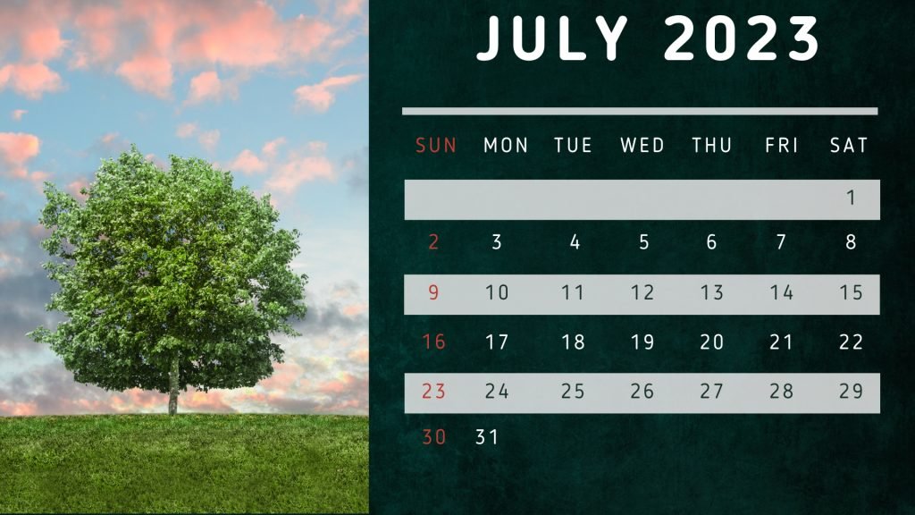 Green White  Modern Month Of July Calendar