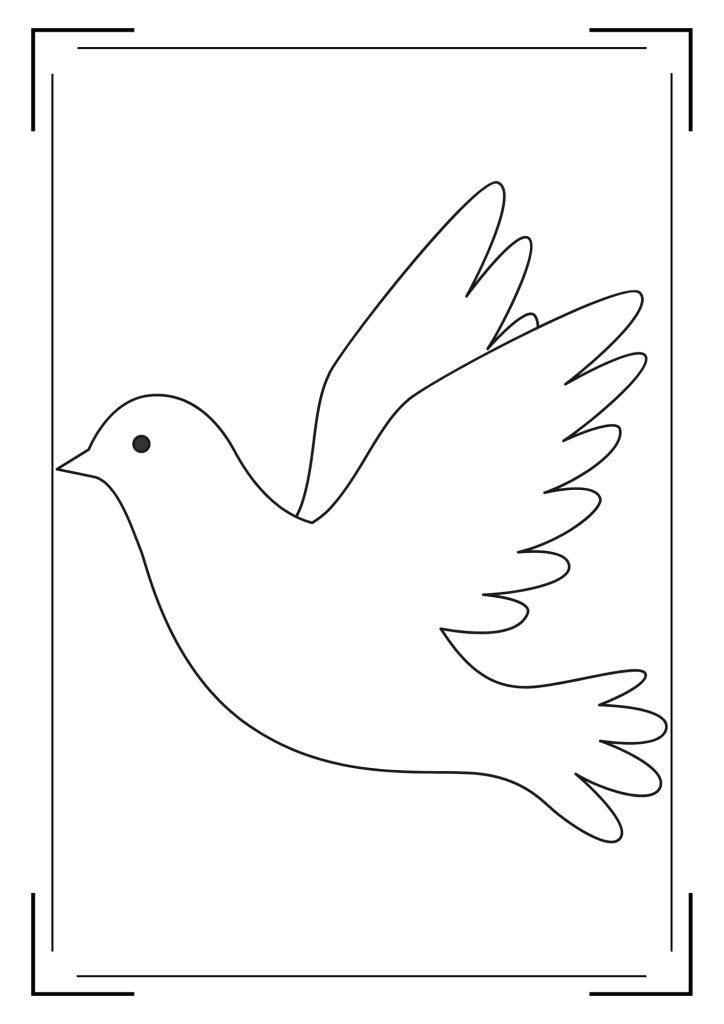 PIGEON OUTLINE
