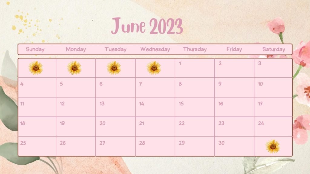 Pink Aesthetic Desk  June 2023 Calendar